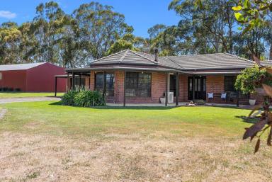 House For Sale - VIC - Pootilla - 3352 - Renovated Homestead on 16.5 acres Ideal For Harness/Horse Enthusiast  (Image 2)