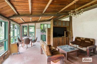 Acreage/Semi-rural For Sale - NSW - Murrah - 2546 - Weekend Hideaway / Hidden Paradise  (Image 2)