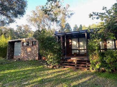 House Leased - NSW - Tamworth - 2340 - PEACEFUL LIVING IN MOORE CREEK  (Image 2)