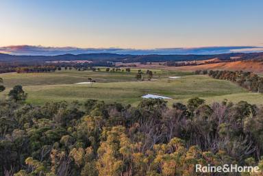 Residential Block For Sale - NSW - Canyonleigh - 2577 - A Vast Lifestyle Property of Incredible Beauty and Significant Upside.  (Image 2)