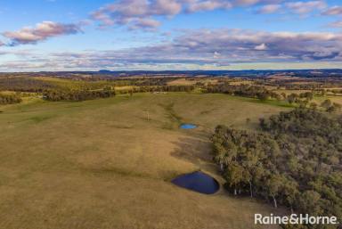 Residential Block For Sale - NSW - Canyonleigh - 2577 - A Vast Lifestyle Property of Incredible Beauty and Significant Upside.  (Image 2)