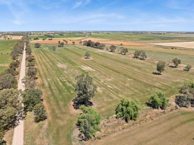 Lifestyle For Sale - VIC - Lockington - 3563 - Well Positioned 123 Acre Irrigation Farm  (Image 2)