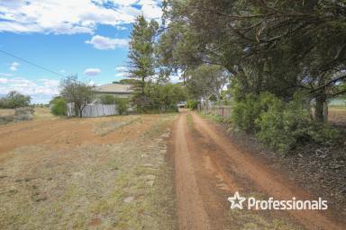 House For Sale - VIC - Irymple - 3498 - Ready to Develop with Income  (Image 2)