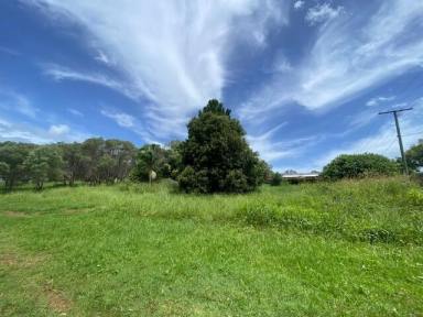 Residential Block For Sale - QLD - Macleay Island - 4184 - Good location  (Image 2)