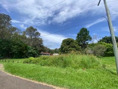 Residential Block For Sale - QLD - Macleay Island - 4184 - Good location  (Image 2)