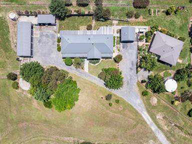 House Auction - NSW - Murrumbateman - 2582 - Escape to Murrumbateman: A Dual-Residence Retreat  (Image 2)