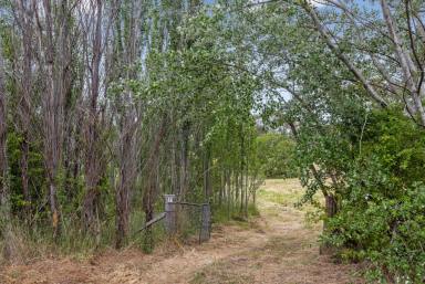 Residential Block For Sale - NSW - Bywong - 2621 - Shepherd's Park - Minutes from the ACT  (Image 2)