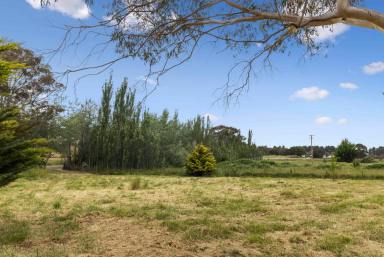 Residential Block For Sale - NSW - Bywong - 2621 - Shepherd's Park - A Peaceful Retreat  (Image 2)