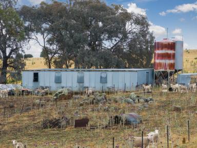 Residential Block For Sale - NSW - Boorowa - 2586 - Prime Subdivision Opportunity with Massive Potential  (Image 2)