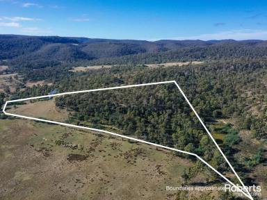 Residential Block For Sale - TAS - Colebrook - 7027 - Colebrook, your country escape  (Image 2)