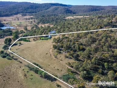 Residential Block For Sale - TAS - Colebrook - 7027 - Colebrook, your country escape  (Image 2)