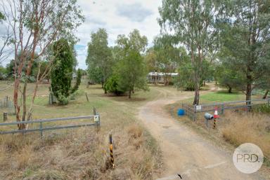 Mixed Farming For Sale - NSW - Tamworth - 2340 - 100 Acres close to Tamworth  (Image 2)