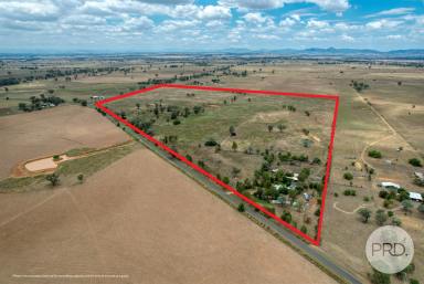 Mixed Farming For Sale - NSW - Tamworth - 2340 - Huge potential  (Image 2)