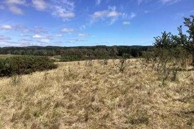 Other (Rural) For Sale - VIC - Scarsdale - 3351 - 6.1Ha (15 acres); Elevated Homesite; Creek Frontage; RLZ; Power Nearby  (Image 2)