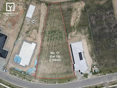 Residential Block For Sale - VIC - Shepparton North - 3631 - Large 2,168m2 Residential Block - Popular Lauriston Estate  (Image 2)