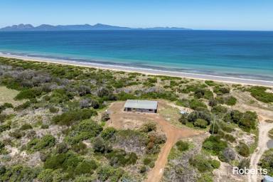 House For Sale - TAS - Dolphin Sands - 7190 - Relaxed Beachside Living or Holiday Home / Investment  (Image 2)