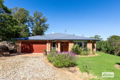 House For Sale - NSW - Wallagoot - 2550 - Acres, Brick Home & Pool  (Image 2)