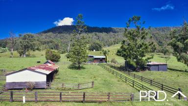 Lifestyle For Sale - NSW - Collins Creek - 2474 - Rural Retreat with Creek Frontage and Scenic Views  (Image 2)