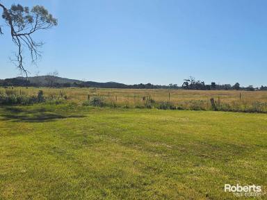 Residential Block Sold - TAS - Kelso - 7270 - Vacant Land!  (Image 2)