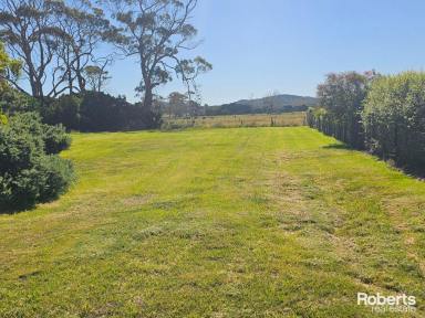 Residential Block For Sale - TAS - Kelso - 7270 - Vacant Land!  (Image 2)