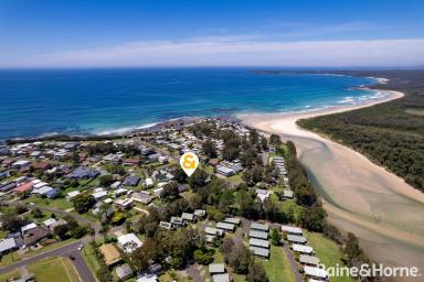 Residential Block For Sale - NSW - Berrara - 2540 - Beachside Block! Rare Land!  (Image 2)