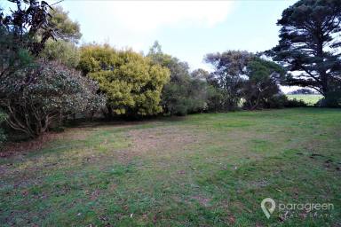 Residential Block For Sale - VIC - Walkerville - 3956 - BLOCK WITH RURAL VIEWS  (Image 2)