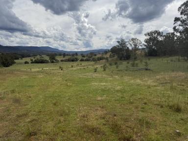 Other (Rural) For Sale - NSW - Upper Horton - 2347 - Upper Horton Living  (Image 2)