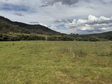 Other (Rural) For Sale - NSW - Upper Horton - 2347 - Upper Horton Living  (Image 2)