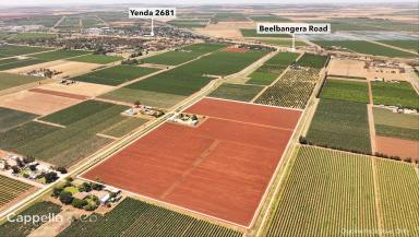 Other (Rural) For Sale - NSW - Yenda - 2681 - Farm with improvements and potential to subdivide  (Image 2)