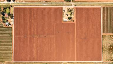 Other (Rural) For Sale - NSW - Yenda - 2681 - A GREAT FARM TO START OR EXPAND!  (Image 2)