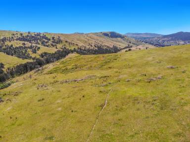 Other (Rural) For Sale - NSW - Tumut - 2720 - Natural Beauty!  (Image 2)