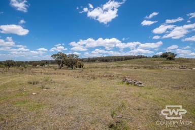 Mixed Farming For Sale - NSW - Emmaville - 2371 - Own Piece of Paradise in Emmaville  (Image 2)