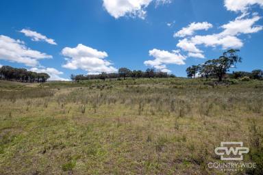 Mixed Farming For Sale - NSW - Emmaville - 2371 - Own Piece of Paradise in Emmaville  (Image 2)