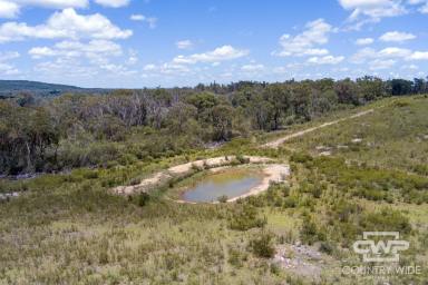 Mixed Farming For Sale - NSW - Emmaville - 2371 - Own Piece of Paradise in Emmaville  (Image 2)