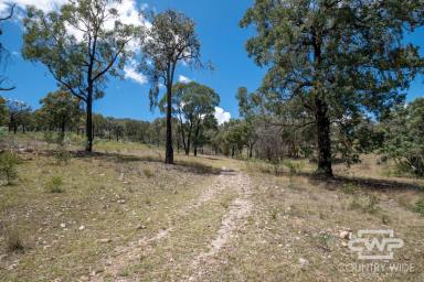 Mixed Farming For Sale - NSW - Emmaville - 2371 - Own Piece of Paradise in Emmaville  (Image 2)