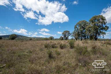 Mixed Farming For Sale - NSW - Emmaville - 2371 - Own Piece of Paradise in Emmaville  (Image 2)