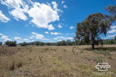 Mixed Farming For Sale - NSW - Emmaville - 2371 - Own Piece of Paradise in Emmaville  (Image 2)