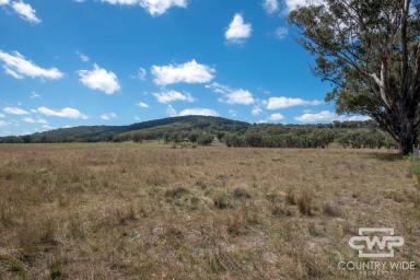 Mixed Farming For Sale - NSW - Emmaville - 2371 - Own Piece of Paradise in Emmaville  (Image 2)