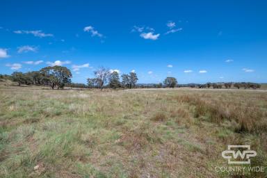 Mixed Farming For Sale - NSW - Emmaville - 2371 - Own Piece of Paradise in Emmaville  (Image 2)