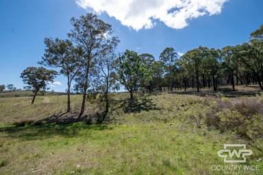 Mixed Farming For Sale - NSW - Emmaville - 2371 - Own Piece of Paradise in Emmaville  (Image 2)