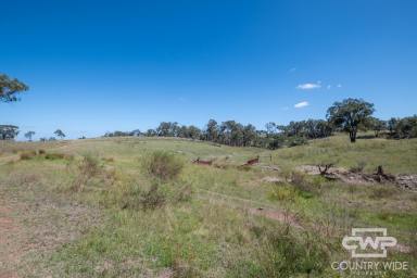 Mixed Farming For Sale - NSW - Emmaville - 2371 - Own Piece of Paradise in Emmaville  (Image 2)