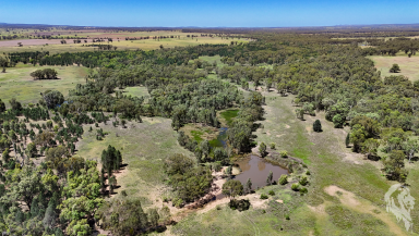 Mixed Farming For Sale - NSW - Baan Baa - 2390 - 320 ACRES MIXED FARMING BLOCK ONLY MINUTES FROM BAAN BAA!  (Image 2)