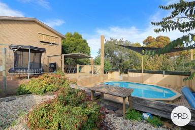 House Leased - NSW - Lavington - 2641 - FOUR BEDROOM HOME! (Image 2)