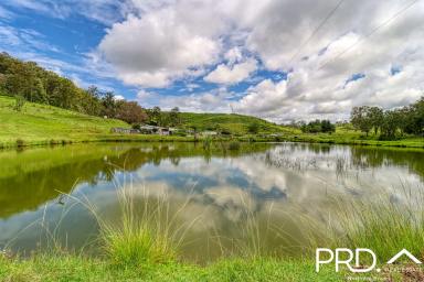 Lifestyle For Sale - NSW - Edenville - 2474 - 13.4-Acres, Multiple Sheds, Water Security & Exceptional Potential  (Image 2)