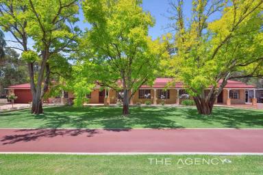 House For Sale - WA - Henley Brook - 6055 - 10 Acres, Dual Accommodation, Equine Facilities In The Heart of The Swan Valley  (Image 2)