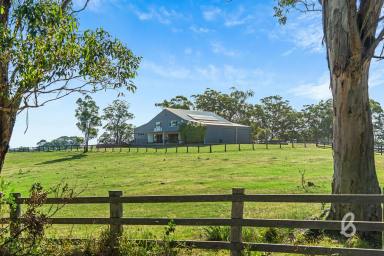 Lifestyle Sold - NSW - Stanhope - 2335 - KANANGRA | RURAL ESCAPE  (Image 2)