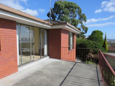 House For Lease - TAS - Sandy Bay - 7005 - Sunny 3 bedroom home in Sandy Bay!  (Image 2)