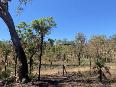 Lifestyle For Sale - NT - Daly River - 0822 - Daly River Property For Sale  (Image 2)