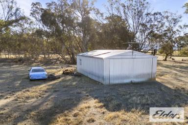 Residential Block For Sale - VIC - Avoca - 3467 - "Your Dream Lifestyle Awaits – 10 Acres of Tranquility Near Avoca"  (Image 2)