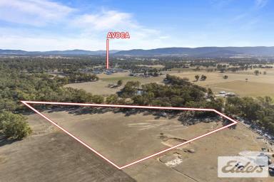 Residential Block For Sale - VIC - Avoca - 3467 - "Your Dream Lifestyle Awaits – 10 Acres of Tranquility Near Avoca"  (Image 2)